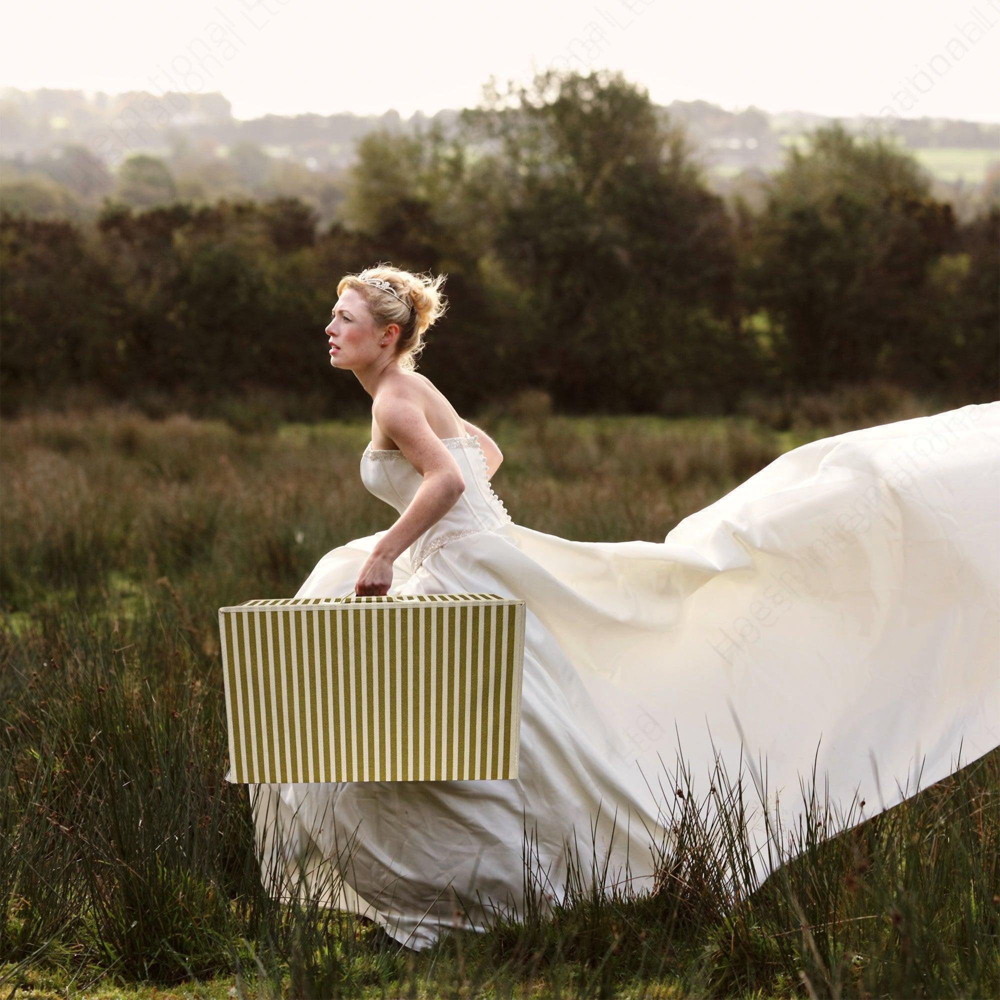 Gold Stripe Wedding Dress Travel Storage Box - Hoesh International Ltd