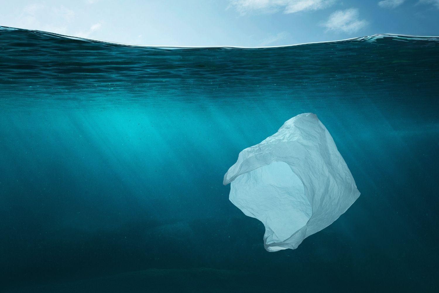 10p CHARGE FOR SINGLE-USE PLASTIC BAGS: THE BEST REUSABLE ALTERNATIVES - Hoesh International Ltd